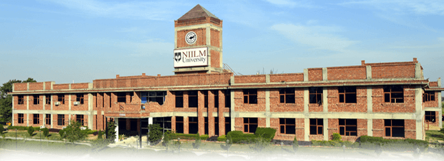 NIILM University