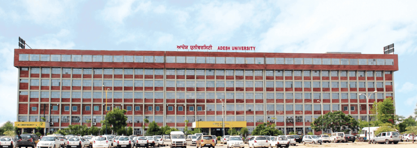 Adesh University