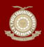 DY Patil Education Society - [DYPES]