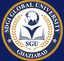 SDGI Global University