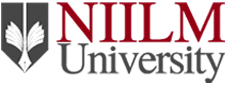 NIILM University