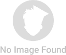 Sant Kabir Vidyapeeth Mahavidyalaya