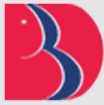 Babu Banarasi Das Institute of Technology & Management - [BBDITM]