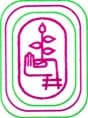 Smt KSN Kansagara College