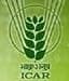 National Research Centre Seed Spices