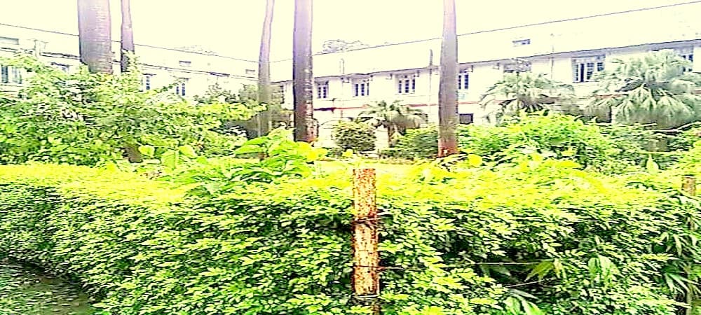 Bihar National College Cover
