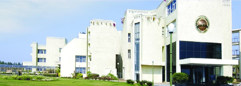 Disha College of Management Studies- [DCMS] Cover