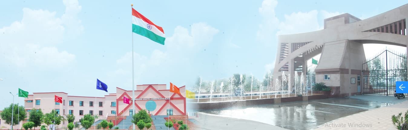 University Centre for Distance Learning, Chaudhary Devi Lal University - [UCDL] Cover