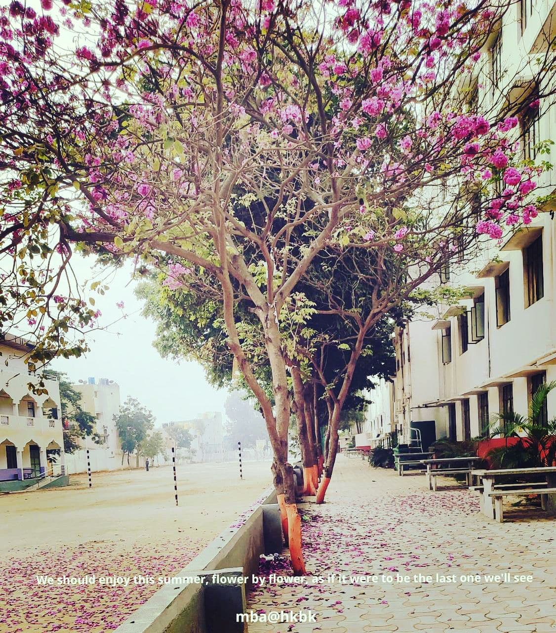 One School Of Business Cover