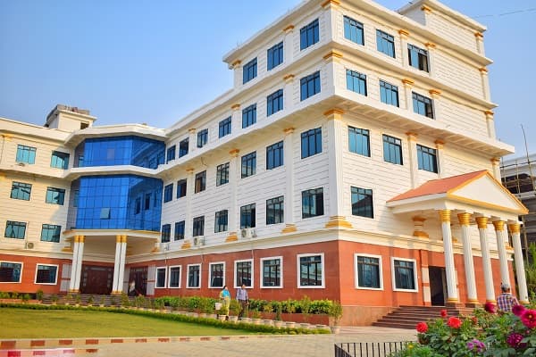 NEF College Cover