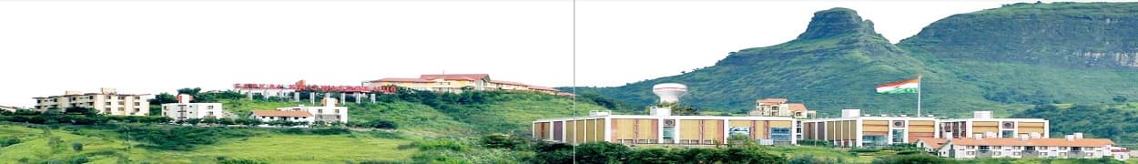 R.G. Sapkal Institute Of Pharmacy Cover