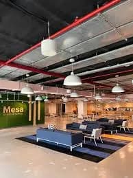 Mesa School of Business - [MSB] Cover