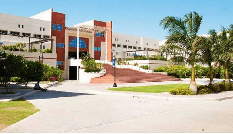 Indore Institute of Management and Research - [IIMR] Cover