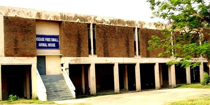 Lala Lajpat Rai University of Veterinary and Animal Sciences - [LRUVAS] Cover