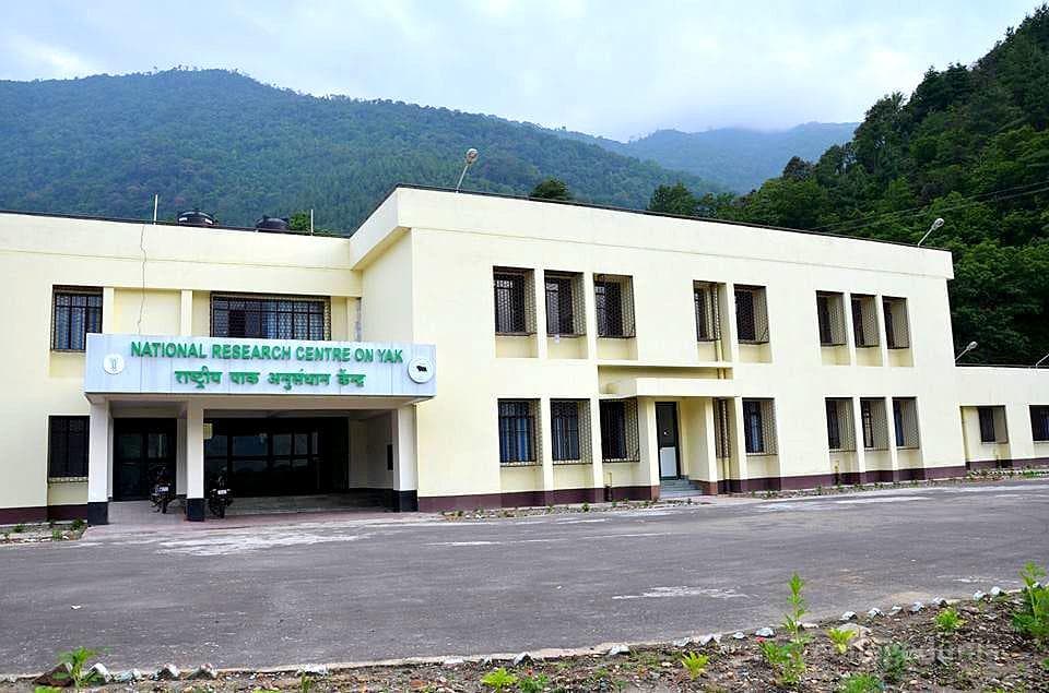 National Research Centre on Yak - [NRCY] Cover