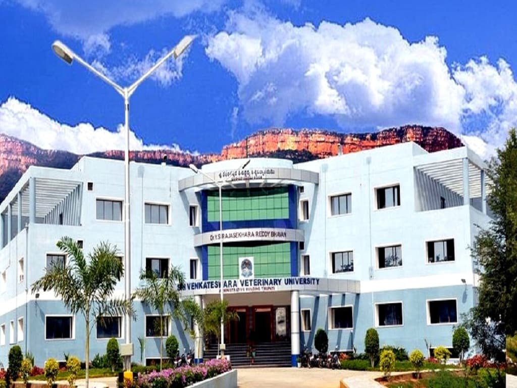 College of Veterinary Science Cover
