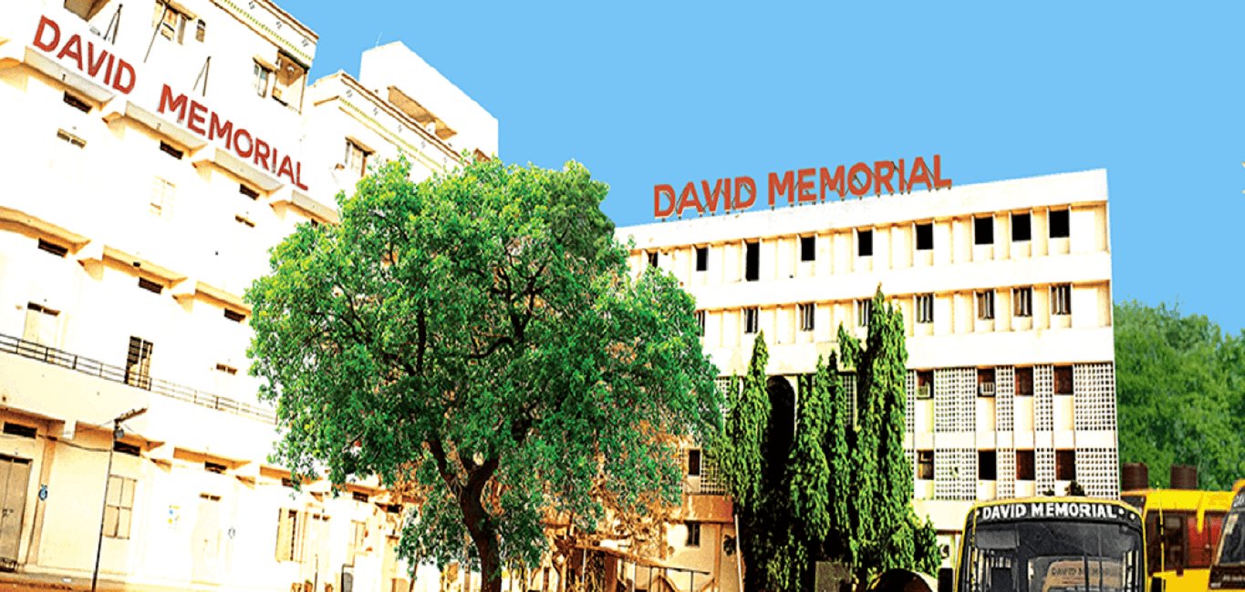 David Memorial Institutions Cover