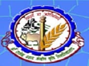 College of Basic Sciences & Humanities