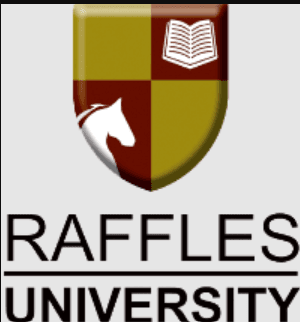 Raffles University