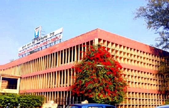 Nanak Chand Anglo Sanskrit College Cover