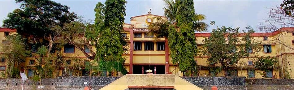 NSS College Nilamel Cover