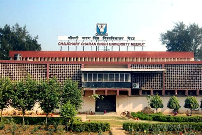 IP College