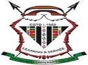 Pachhunga University College