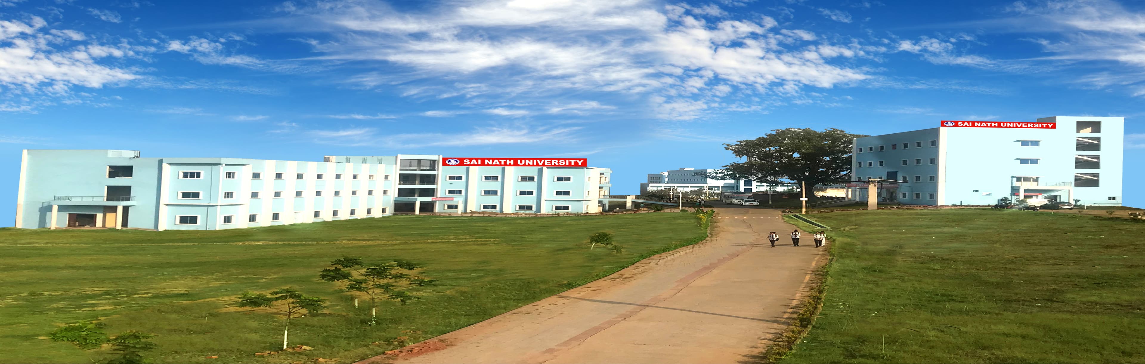 Sai Nath University Cover